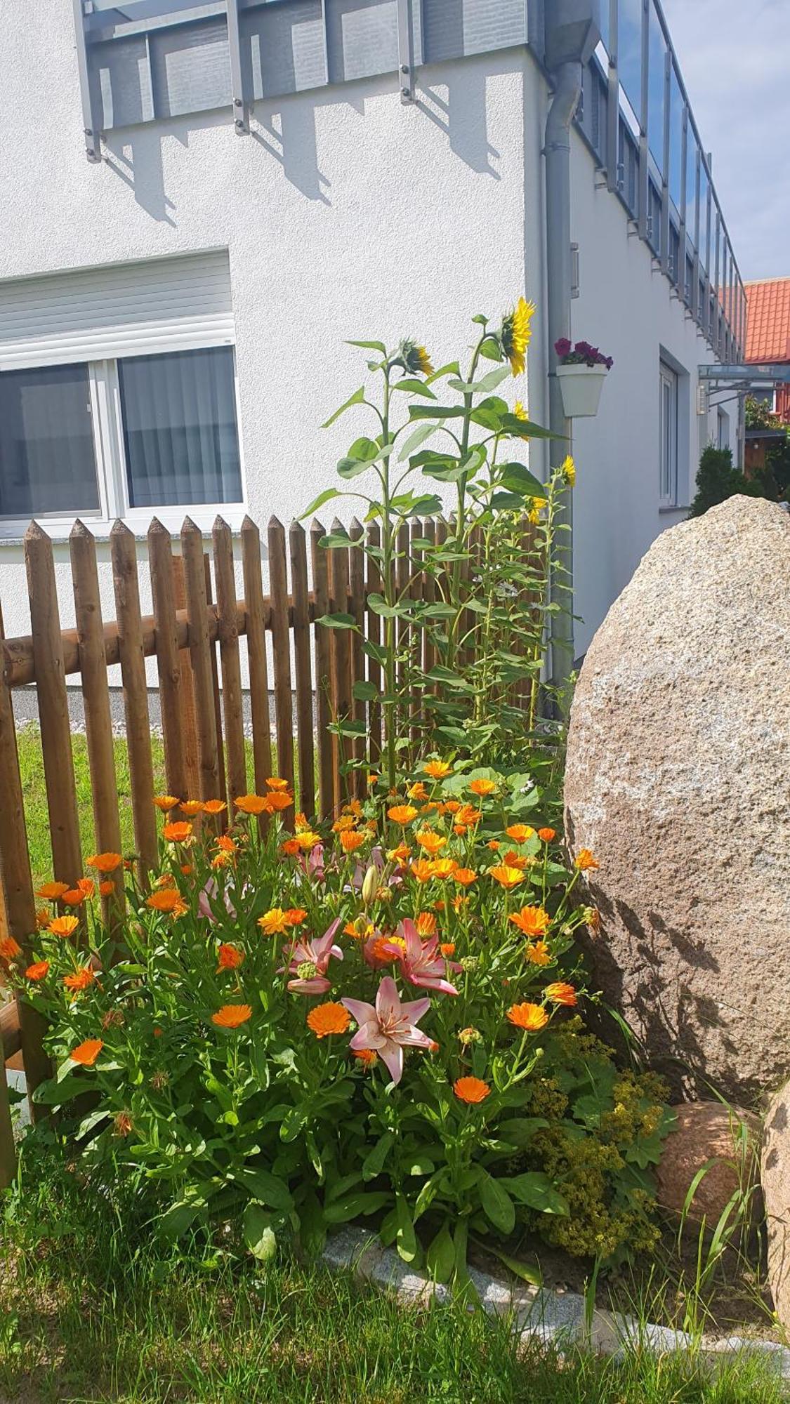 Ferienwohnungen Godewind Ostseebad Ostseebad Zinnowitz Exterior foto