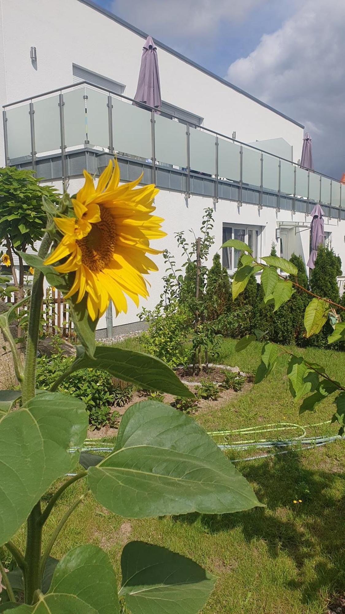 Ferienwohnungen Godewind Ostseebad Ostseebad Zinnowitz Exterior foto